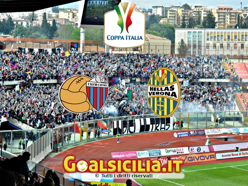 Catania-Verona: 2-0 il finale-Il tabellino