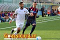 Calciomercato Siracusa: Palermo si allontana dalla Carrarese