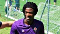 Calciomercato Palermo: proseguono i contatti con la Fiorentina per Beloko
