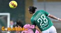 Avellino-Palermo, i precedenti: a comandare è il segno X, ultimo successo rosa tre anni fa