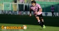Calciomercato Catania: piace un ex attaccante del Palermo