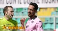 Palermo: ultime e probabile formazione anti-Juve Stabia