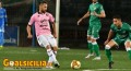 Avellino-Palermo, i precedenti: rosanero in ritardo nel bilancio, l'ultimo successo quattro anni fa in B