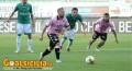 Palermo-Avellino, i precedenti: rosanero nettamente avanti nei confronti giocati al ‘Barbera’