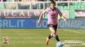Calciomercato Palermo: la Sampdoria pensa ai tagli, possibile ritorno di Verre in rosanero?