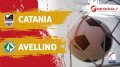 Catania-Avellino: 0-2 il finale-Il tabellino