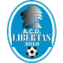 Logo Libertas2010