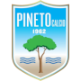 Logo Pineto