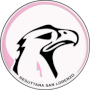 Logo Resuttana San Lorenzo