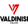 Logo Valdinisi